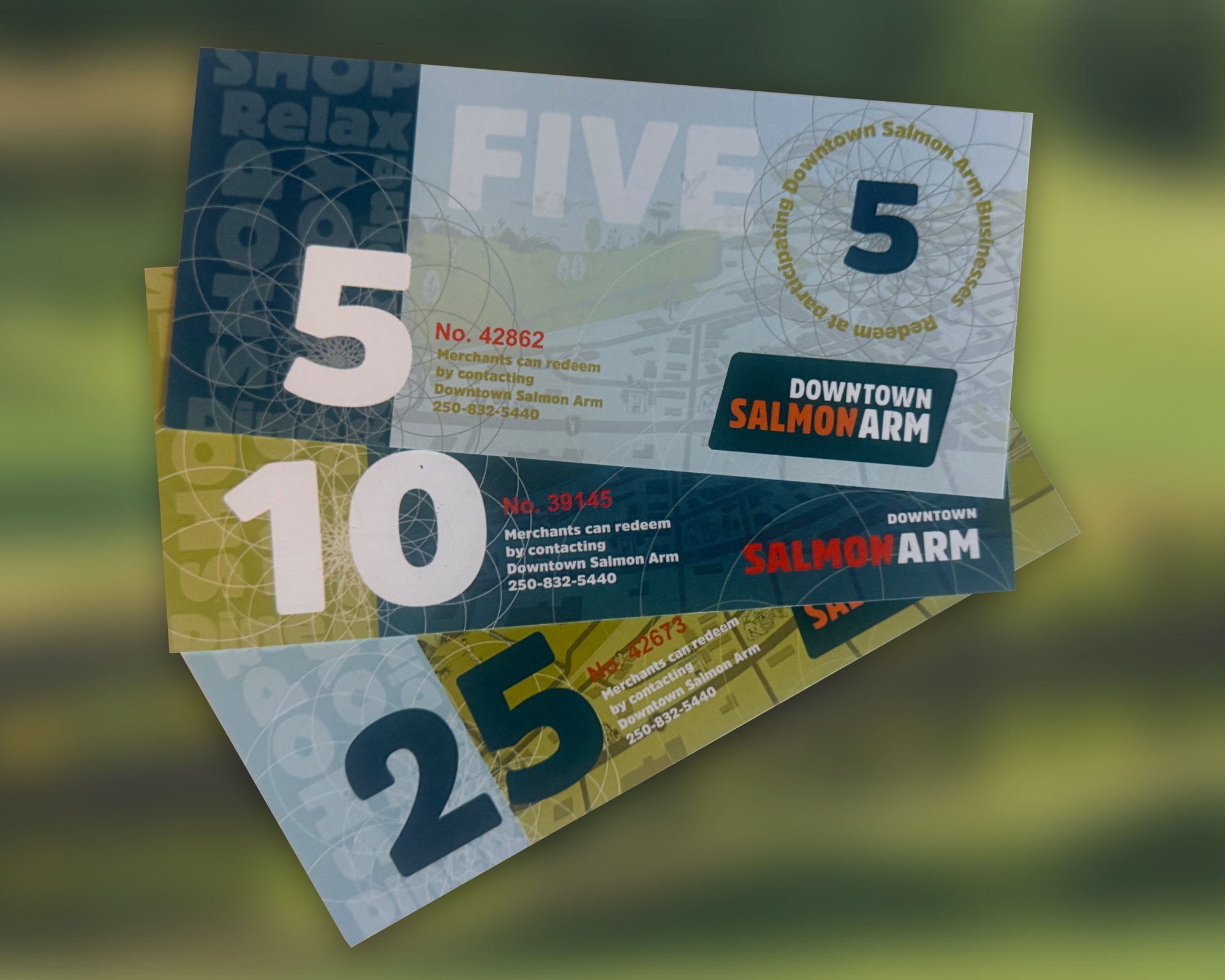Downtown Salmon Arm Dollars — $5, $10, and $25 community-currency vouchers
